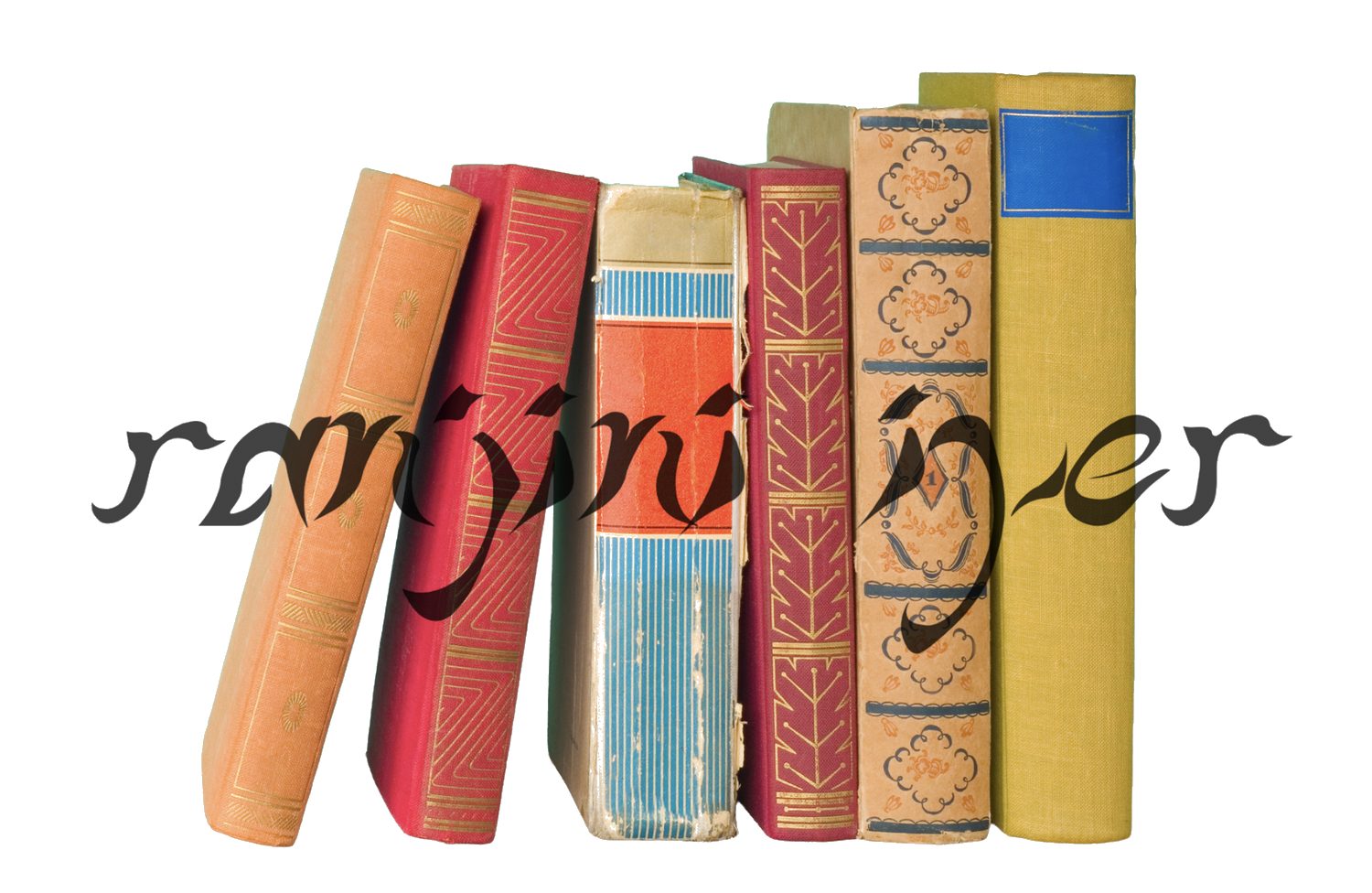 Ranjini Iyer — colorful books with author name